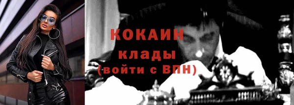 прущие грибы Абаза