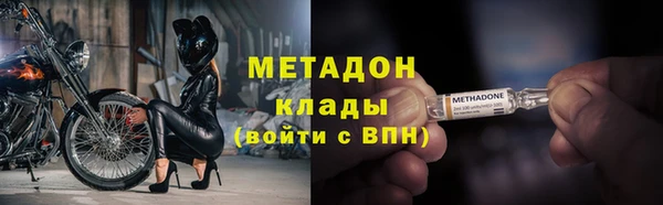 прущие грибы Абаза