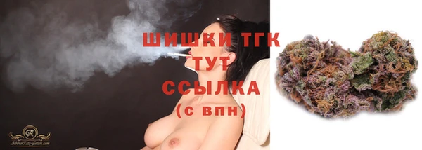прущие грибы Абаза
