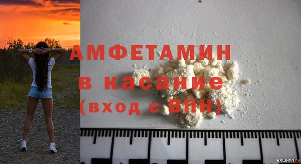 прущие грибы Абаза