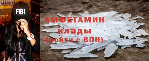 прущие грибы Абаза