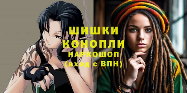 прущие грибы Абаза