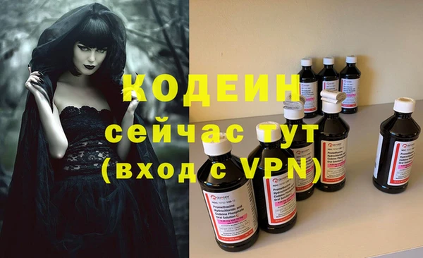 прущие грибы Абаза