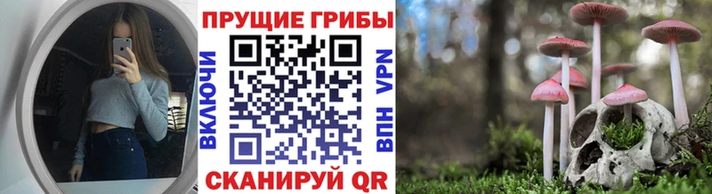 Псилоцибиновые грибы Psilocybine cubensis наркошоп Волжский